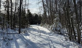 US-1 lot 10, Baring Plt, ME 04694