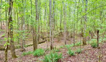7903 ALABAMA HIGHWAY 63, Alexander City, AL 35010