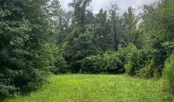 10664 Burton's Ferry Rd, Allendale, SC 29810