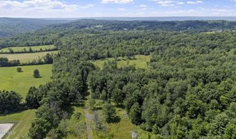181 Gray Rd, Altamont, NY 12009