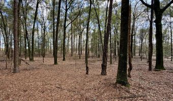 County Road 72, Ariton, AL 36311