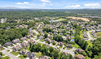 4217 Cripple Bush Ct, Apison, TN 37302