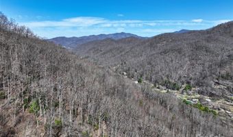 99999 Green Ridge Falls Rd 17, Barnardsville, NC 28709