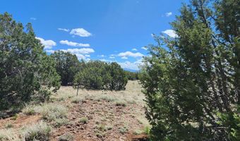 12 B Juniperwood Rnch, Ash Fork, AZ 86320