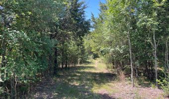 796 Blue Branch Rd, Bennington, OK 74723