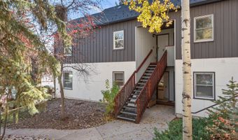 414 Pacific Ave Unit A, Aspen, CO 81611