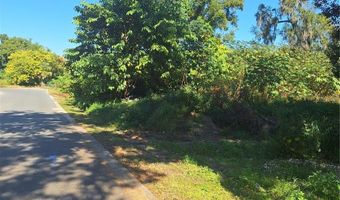 335 E 12TH St, Apopka, FL 32703