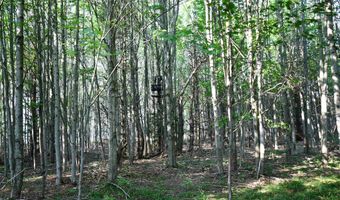 9537 LAKEVIEW Rd, Alanson, MI 49706