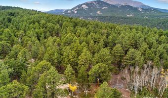 County Road 84 W, Allenspark, CO 80510
