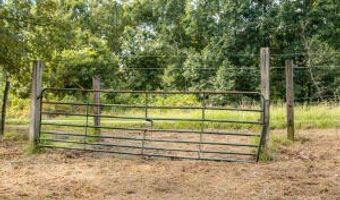 12814 Cranfield Rd Tract 2, Birchwood, TN 37308
