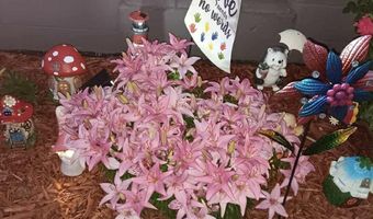 2137 S 5th Ave, Alpena, MI 49707