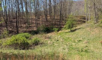 Hamilton Ridge, Alderson, WV 24910