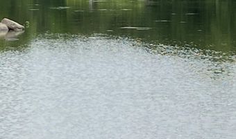 Spruce Drive, Anson, ME 04911