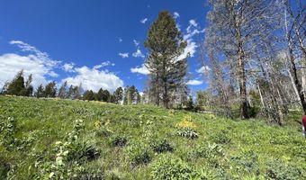Tbd Nwne DEER HAVEN Road, Bondurant, WY 82922