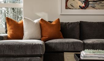 704 E Hyman Ave, Aspen, CO 81611