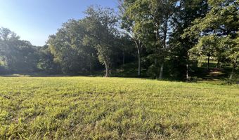 Bear Creek Road lot 37, Birchwood, TN 37308
