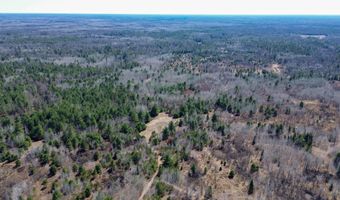 5840 Wildwood Rd, Alger, MI 48610