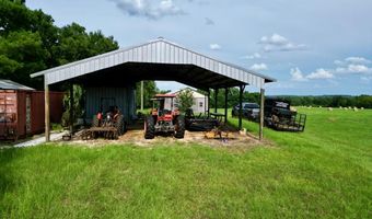 County Road 127, Banks, AL 36005