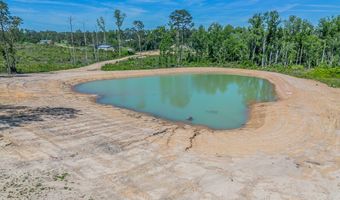 Chad Lake Rd, Alma, GA 31510