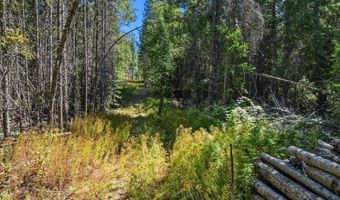 662 Homestead Hollow Rd, Careywood, ID 83809