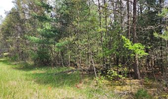 Lot 303 Cypress Drive, Arkdale, WI 54613