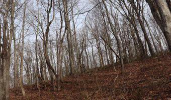 Route 12 Road, Alum Creek, WV 25003