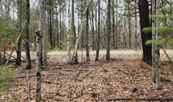 N Forest Lake Drive, Alger, MI 48610