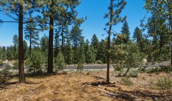 490 Nature's Edge Rd, Gardnerville, NV 89460