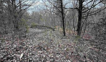 36 Highway 354, Ash Flat, AR 72513