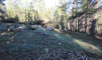 175 Silver Tip Dr, Bear Valley, CA 95223