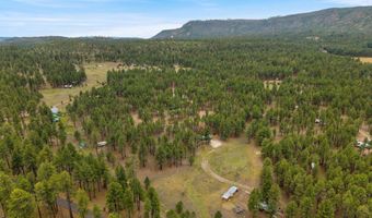 County Rd 2121, Alpine, AZ 85920