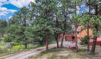 33 Grouse Ln, Bailey, CO 80421