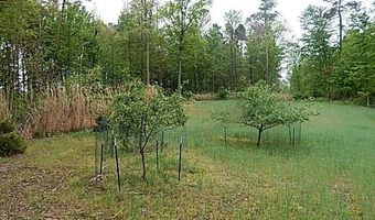 15250 27 Mile Rd, Albion, MI 49224