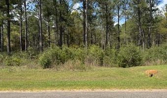Harbor Rd lot 97, Andalusia, AL 36421