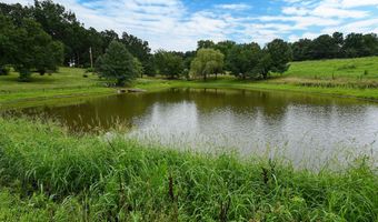 14599 W Farm Road 60, Ash Grove, MO 65604