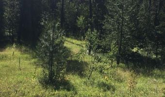 34 Silver Cloud Dr, Cascade, ID 83611