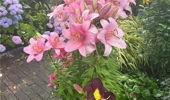 43 Poplar St, Newport, RI 02840