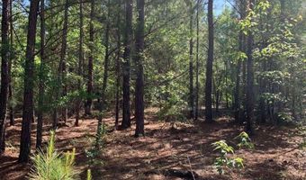 Pollett Road lot 29, Bartow, GA 30413