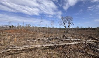 0 County Road 217 Lot 1, Blue Springs, MS 38828