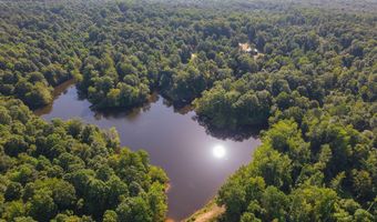 547 Willoughby Rd, Beech Bluff, TN 38313