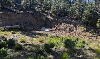 115 S Olympic Dr, Brian Head, UT 84719