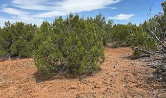 40 County Road 3048, Concho, AZ 85924