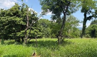 FOX RUN lot 24A 3.22 Ac, Baker, WV 26801