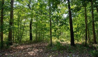 14600 Canyon Road Lot 8 & 9, Bella Vista, AR 72715