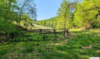 1619 Squirrel Creek Rd, Ararat, VA 24053