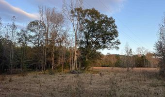 11 Acres RISER MILL ROAD Lot 11 Acres, Alpine, AL 35014