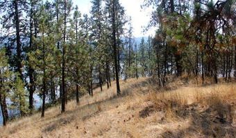 14814 S Kleins Medicine Trl, Cataldo, ID 83810
