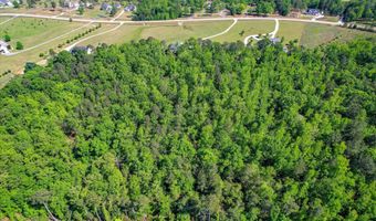 3342 Tom Bartles Rd, Appling, GA 30802