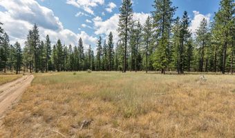 13902 Highland Trl, Alberton, MT 59820