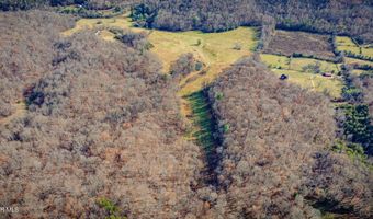 1520 Brittontown Rd, Afton, TN 37616